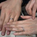 노화장 | W4. 웨딩밴드 투어 | 롯데백화점 부산본점 '다미아니, 불가리, 타사키, 티파니앤코'