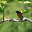 사파평생교육센터 이미지