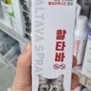보건정문약국 이미지