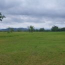 선산파크골프장 이미지