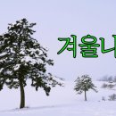 [시 한 편, 노래 한 곡] 황지우의 시 ＜겨울-나무로부터 봄-나무에로＞, 동요 ＜겨울나무＞ 이미지