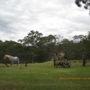 토부농장 이미지