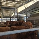 (주)쌍용에프엔씨 이미지