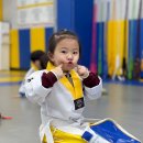 베스트세심태권도 이미지