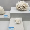 부산해양자연사박물관 이미지