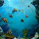 화진포해양박물관 이미지