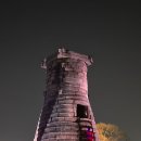 경상누리 | 경주 황리단길 가성비 숙소 앨리 게스트하우스 2인 내돈내산 추천