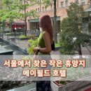 메이필드 | 후기 ✨ 메이필드 호텔, 수영장까지 완벽했던 서울 호캉스