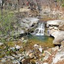 옥당걸숲속 이미지