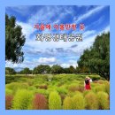 낙동야구장 2 이미지