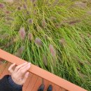 청라 호수공원 다목적구장 이미지