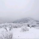 토닮 Daum카페