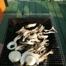 펜션카페윤앤박 | 양평 윤앤박펜션 방문후기