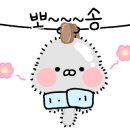 포플러하우스 이미지