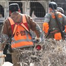 곰두마리농장 이미지