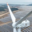 대정태양광발전소 이미지