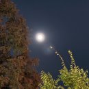 낙원곱창 사당역점 | [내돈내산] 낙원곱창 사당점 방문 후기