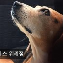 올리스(위례) 이미지