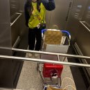 샤넬 | 샤넬 코코핸들미니 :: 코코샤넬 후기 🩶