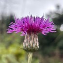 올곧바른치과의원 이미지