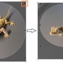 Point - 원형 이미지