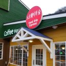 대명노르웨이숲 이미지