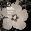 유월에 - 포천시 영북로177번길 5-4 | 유월에