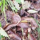 (주)토옥 이미지