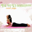 요가B 이미지