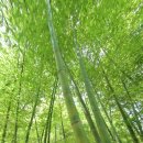 장목수산센타 이미지