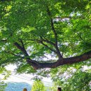 승지축산 이미지