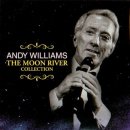 Moon River(문리버)-Andy Williams(앤디 윌리암스) 이미지