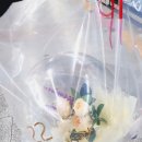 뿌이토퍼앤벌룬
