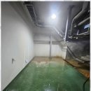 그린세차장 이미지