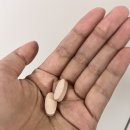 제트(Z) | 다이어트 보조제 제트헬퍼 내돈내산 후기, 제트헬퍼 나이트번4 ☆일주일 후기, z헬퍼 실제후기