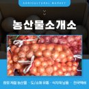 농산물 소개소 이미지