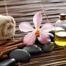 오일갤러리 이미지