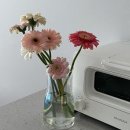 HEBB | 신혼 소형가전 추천 : 발뮤다 토스트기 리뷰