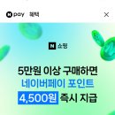 🚨종료..🚨네이버쇼핑] 5만원 이상 구매시 4500원 네이퍼포인트 즉시지급 이미지