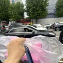 동글개 | [🌏] 동글 일기 #14. 가을맞이
