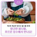 장안산 봄나물 축제 이미지