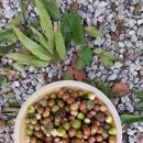 풍년산장 이미지