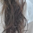 모스헤어 - 안양시 동안구 평촌대로223번길 49 | 손상모케어 헤어에센스 추천 헤르모스 스무딩에센스 후기