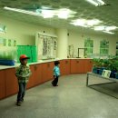 나비부화장 이미지