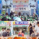 정가네토굴새우젓