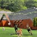 문화빌라 C동 이미지