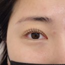 나성동_제이빌딩 앞 버스정류장 | 수유역 속눈썹펌 잘하는 더림제이 재재재방문 솔직후기