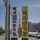 백세치트키