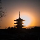 리코(rico) 이미지