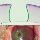 다산아이동물병원 이미지